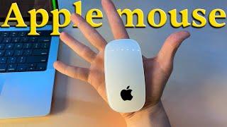 They said its the worst mouse ever made. So I bought it. Magic Mouse Review