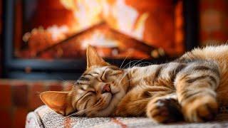 Cozy Fireplace And Cat 4K  Relaxing Purr Sound for Deep Sleep Healing Insomnia