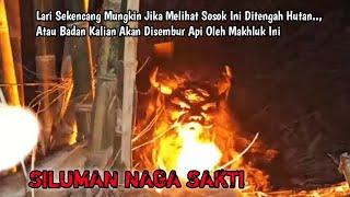 Gila Parah Ini‼️Sosok Makhluk Mitologi Dapat Meludah Api Naga Sakti Penghuni Hutan Bambu Angker