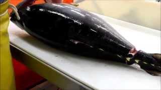 Fish Filleting- Yellowfin Tuna Ahi