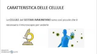 Approfondimenti di scienze il sistema immunitario Clotilde L. V.