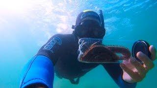 Gopro HERO 4 - Catching a BOBBIT WORM