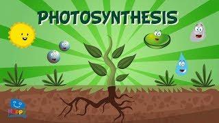 Photosynthesis  Educational Video for Kids