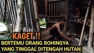 WOW‼️BERTEMU ORANG ROHINGYA YG BERTAHAN HIDUP DITENGAH HUTAN BELANTARA