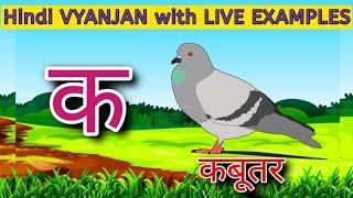 Hindi VYANJAN with LIVE Examples  क से कबूतर   Hindi Vyanjan  WATRstar