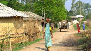 Village Life India Daily Routine Farmer  Real Life In UP Village  Rural Life India