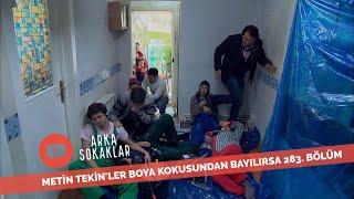 Metin Tekinler Boya Kokusundan Bayılırsa 283. Bölüm