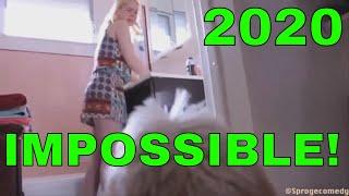 100% FAIL  TRY NOT TO LAUGH IMPOSSIBLE 4 2020