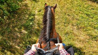 2009 HORSE - POV TEST DRIVE