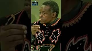 Many Political Leaders In Africa Are Thieves  PLO Lumumba