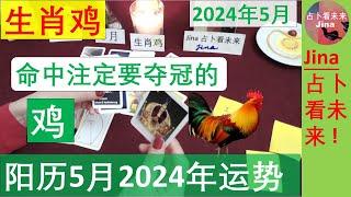 生肖鸡阳历5月2024年 命中注定要夺冠了阳历2024年五月在工作 财富 感情上的 发展趋势