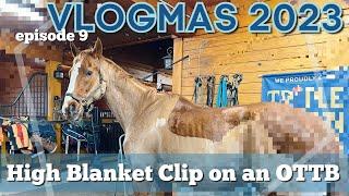 EQUESTRIAN VLOG  Barn Life Body Clipping Grooming & More • Vlogmas 2023 Ep 9