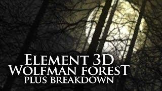 Element 3D  Wolfman Forest plus Breakdown
