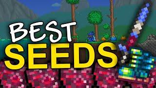 The BEST Terraria seeds 1.4.4.9
