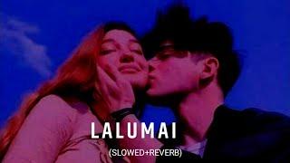 लालुमै Lalumai Slowed+Reverb Nepali Lok Dohori Song 《Bishnu Majhi