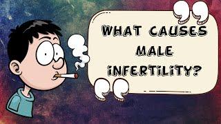 What Causes Male Infertility Major Causes For Male Infertility Male Factor Infertility