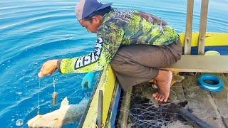 BEGINI CARA MANCING IKAN BESAR PAKAI UMPAN HIDUP STRIKE TERUS