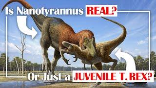 Is Nanotyrannus Real or Just a Juvenile T. rex?
