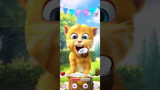 Ginger 2 🫒🫒🫒🫒🫒🫒🫒🫒🫒#shorts #viral #tom #talkingtom #shortvideo #fannycat #youtubeshorts