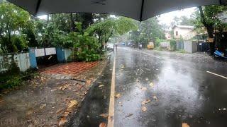 Walking In Rain in West Kochi Kerala Umbrella And Nature Sound For Relaxing 4k ASMR