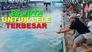 Lomba Mancing Ikan Lele Terbesar Full Master