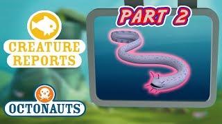 Octonauts - Creature Reports Part 2  Cartoons for Kids  Underwater Sea Education