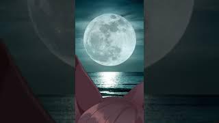Kagerou during Full Moon #touhou #vtuber