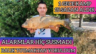 1 GECE KAMP 15 SAZAN ALDIM. BALIK TUTMAKTAN YORULDUM.#sazanavi #carpfishing #fishing #nature #kamp