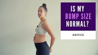 Is My Bump Too Big or Too Small?  Belly Size During Pregnancy