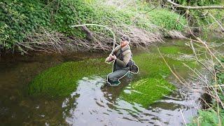 Ultralight Fishing The Crystal Clear Creek For Beautiful Wild Fish