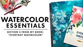 The Beginners Guide to the Watercolor Essentials  PART 3