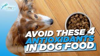 THE 4 SYNTHETIC DOG FOOD ADDITIVES YOU NEED TO AVOID