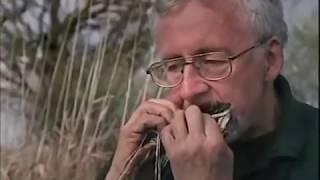 Ray Mears Wild Food Episode 3