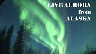 LIVE Alaska Aurora Live Stream Sep 8-9 2024