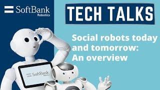 Social Robotics today and tomorrow an overview.