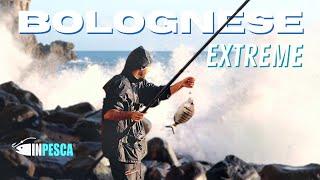 BOLOGNESE EXTREME • Pesca con MARE MOSSO ai SARAGHI di Maiori dalla scogliera Amalfi Coast