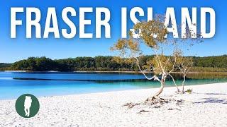 Fraser Island in 4K  Queensland  Australia Nature