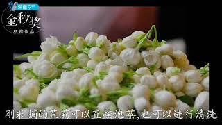 【小花匠】新鲜茉莉花能直接泡水喝吗？方法很简单