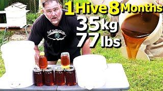 How to Grow a TON of HONEY with ONE Beehive in Just 8 Months