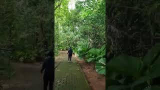 Forest Sea at Nongsa Village Batam Island.