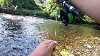 Риболов с мухарка за пъстърва на река Искър на суха муха. Fly fishing for trout on Iskar River.