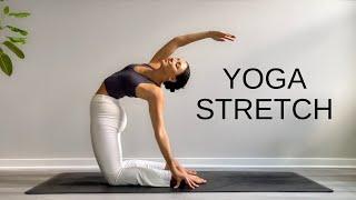 15 Minute Yoga Stretch Break  Open Your Body & Feel Amazing