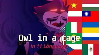 Owl in a cage Stolas sings - in 11 languages  MULTILANGUAGE + SUBTITLES