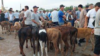 Beshariq mol bozori ģunajinlar VA sigirlar narhlari bilan tanishing 30.06.2024yil