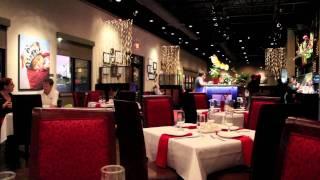 Canon EOS Rebel T3i Video Yummy House China Bistro