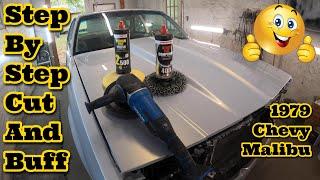 Cut And Buff A Car To Remove Orange Peel & Trash From Your Paint Job RUPES DA POLISHER VS ROTARY