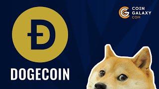 Как появилась криптовалюта Dogecoin. Почему именно Dogecoin считается самой доброй.