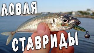 МОРСКАЯ РЫБАЛКА НА УЛЬТРАЛАЙТ  Ловля ставриды на черном море