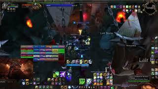 WoW TBC Classic GRUUL Lair FULL RAID. Resto Shaman Healer