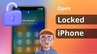 3 Ways How to Open a Locked iPhone without Computer or Password 2024